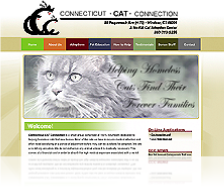 CT Cat Connection